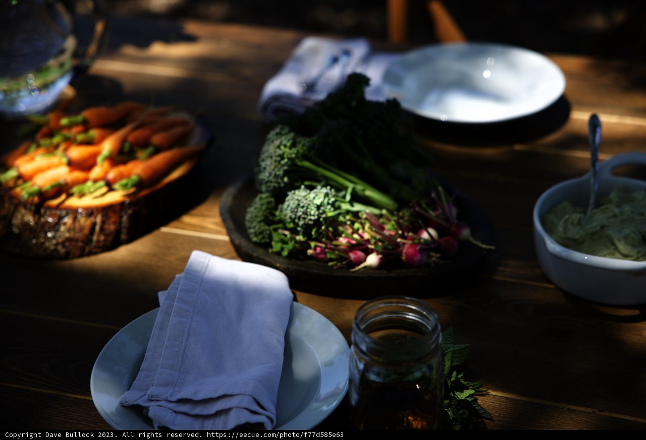 A Scrumptious Trio of Plates: Regenerative Gardening and Agriculture Class