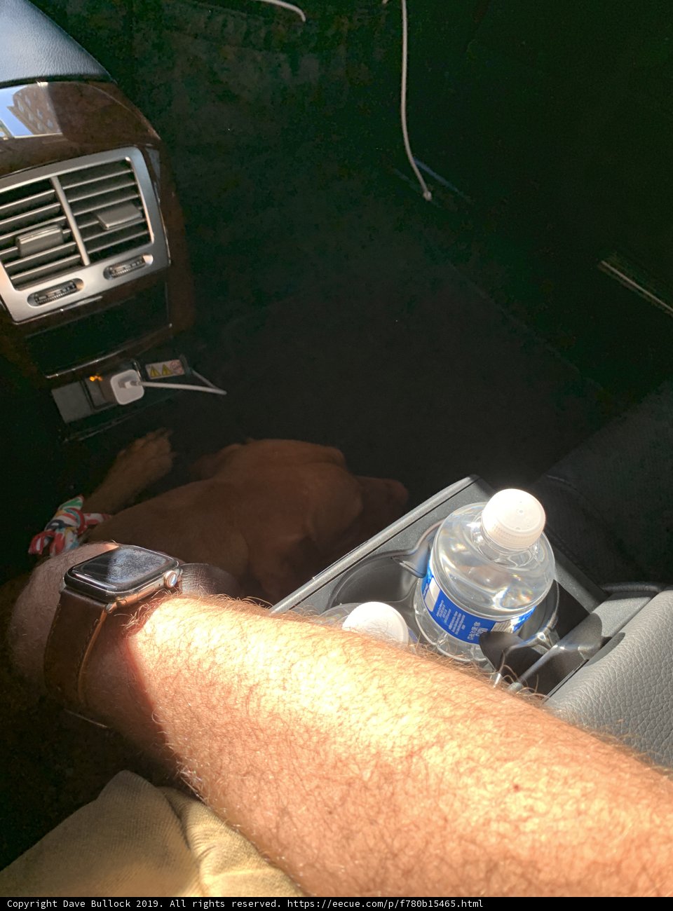 Passenger Arm Companion