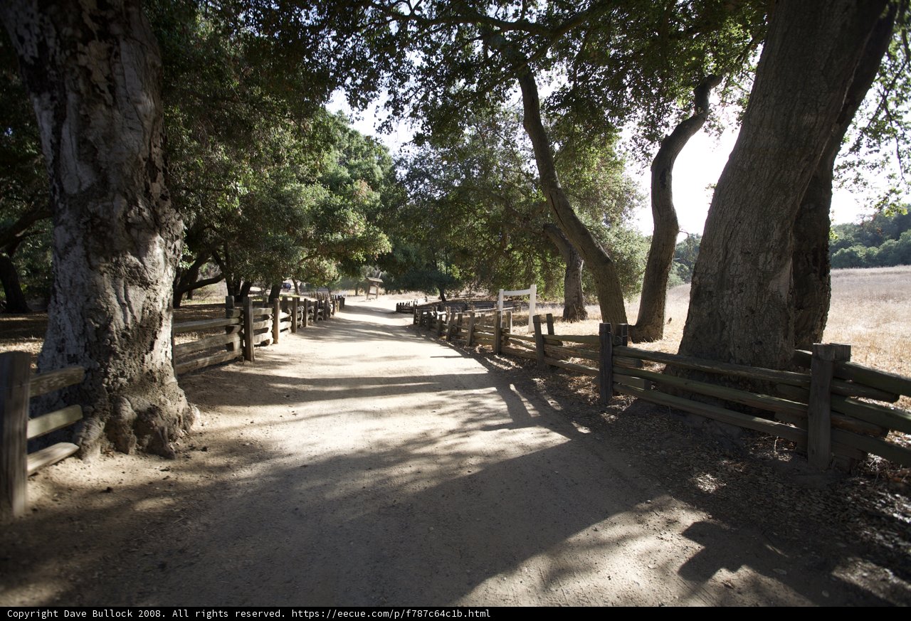 Nature's Walkway