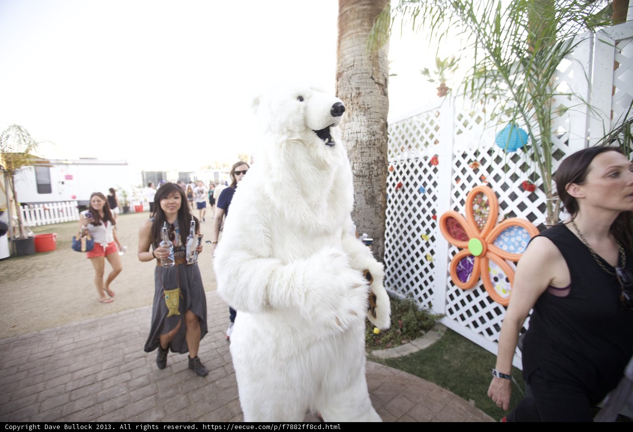 The Polar Bear in a Suit