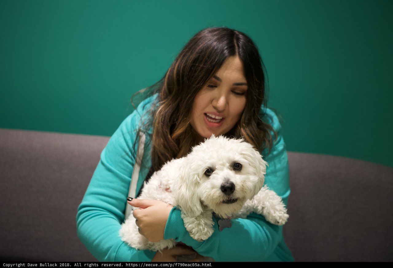 Woman and her Bichon Poodle