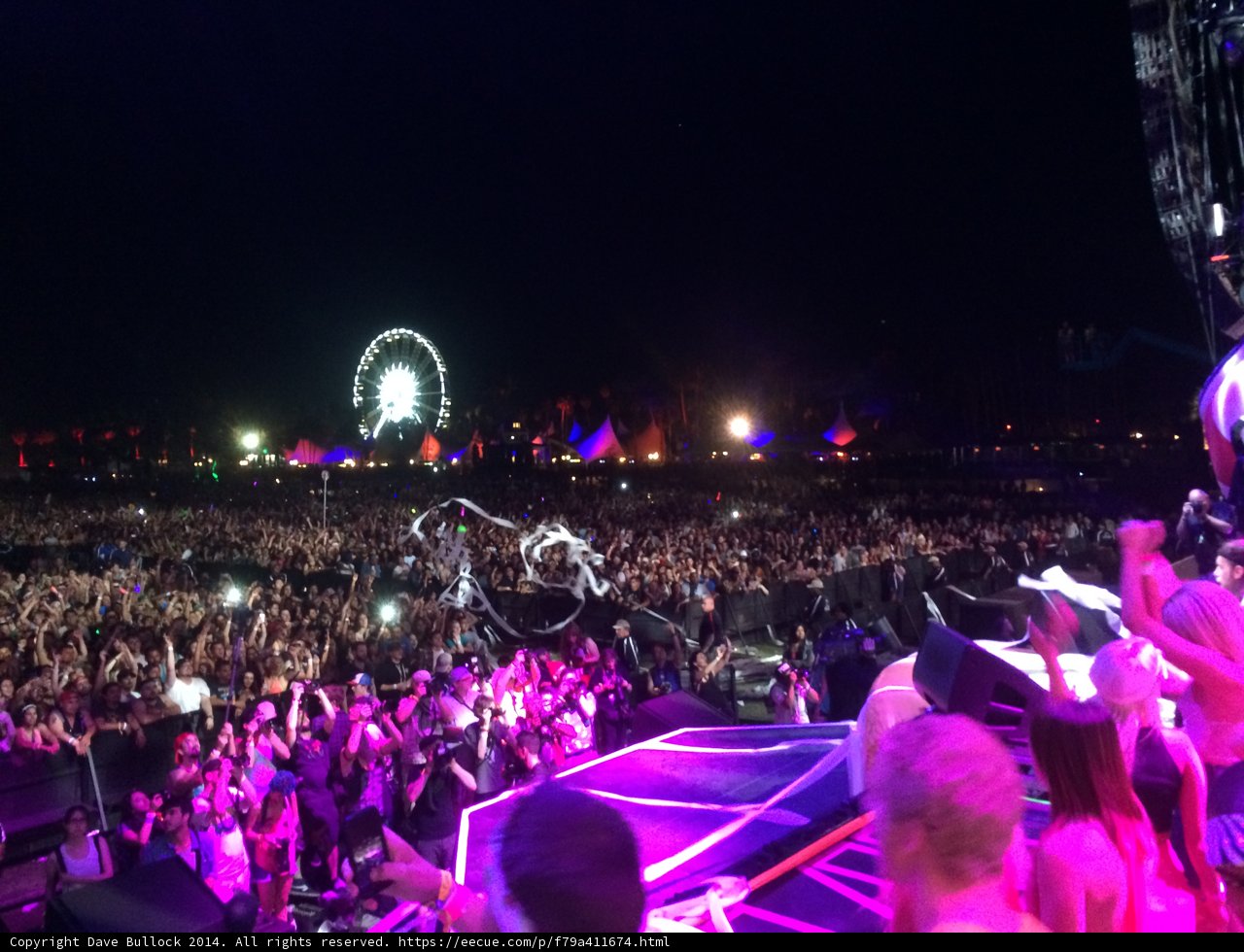 Nightlife at the Festival
