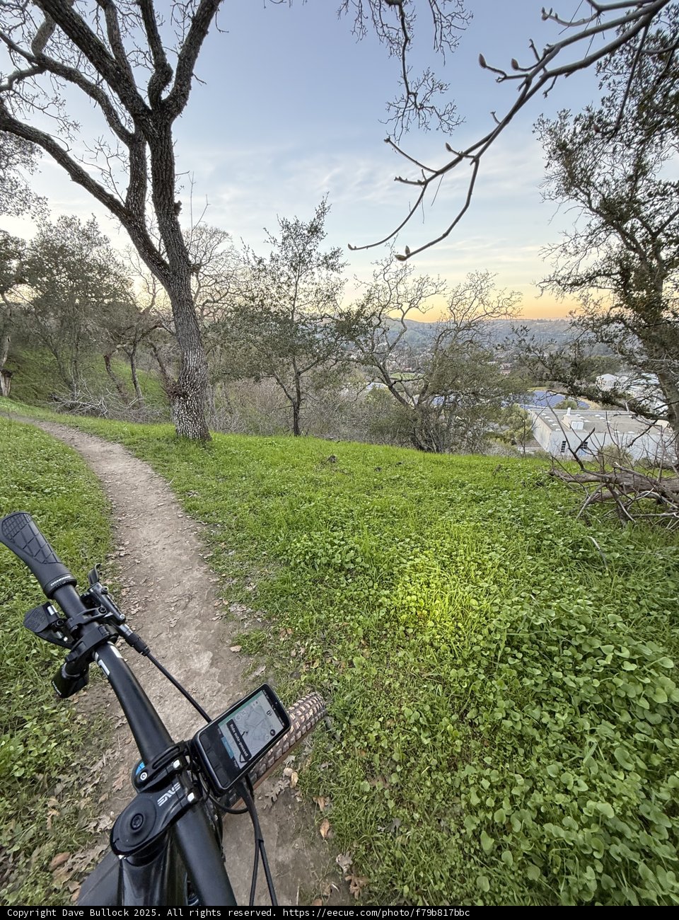 **Trailside Tranquility**