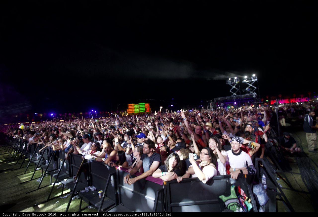 Hands Up at Coachella Concert
