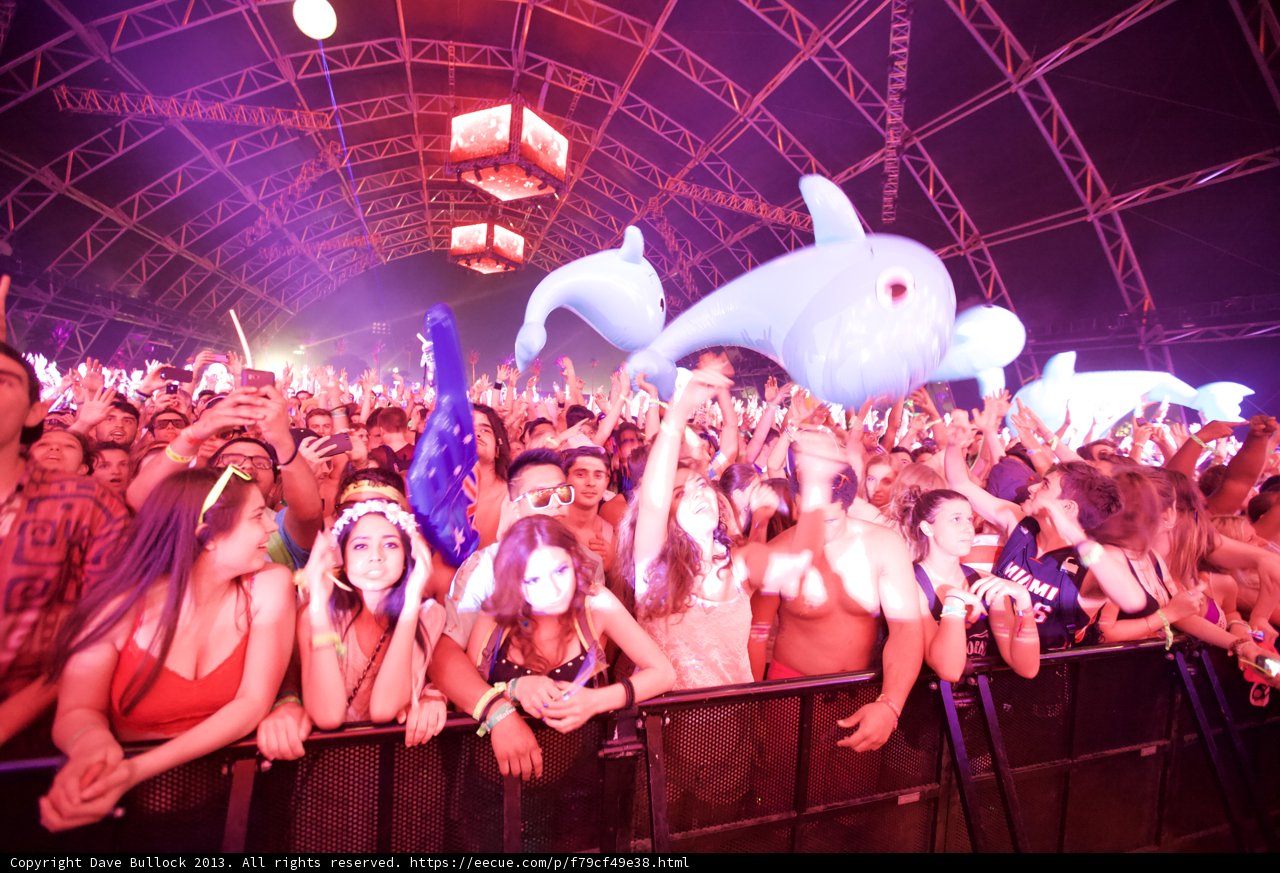 Up Close and Personal: A Dolphin Joins the Crowd at Coachella