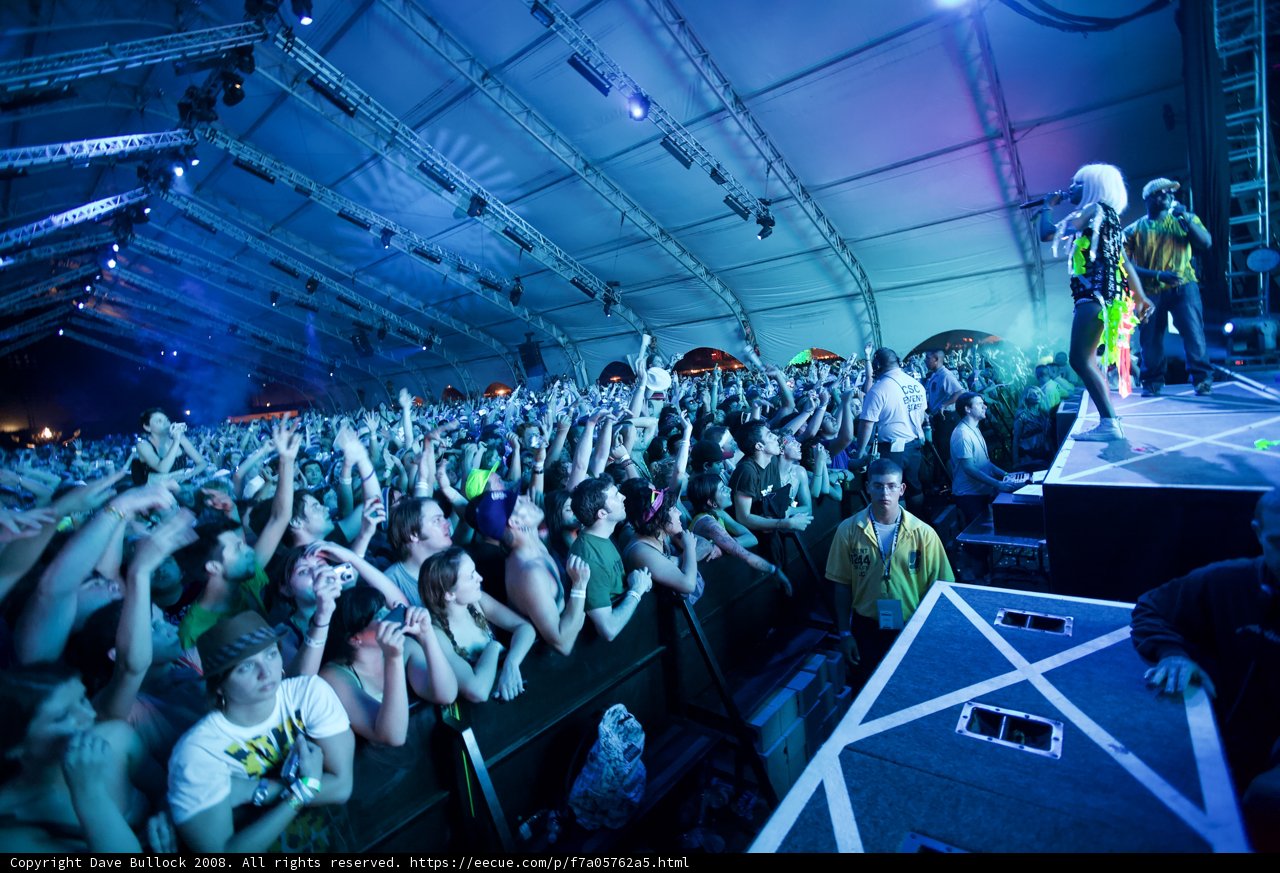 Coachella Concertgoers Raise the Roof with Excitement