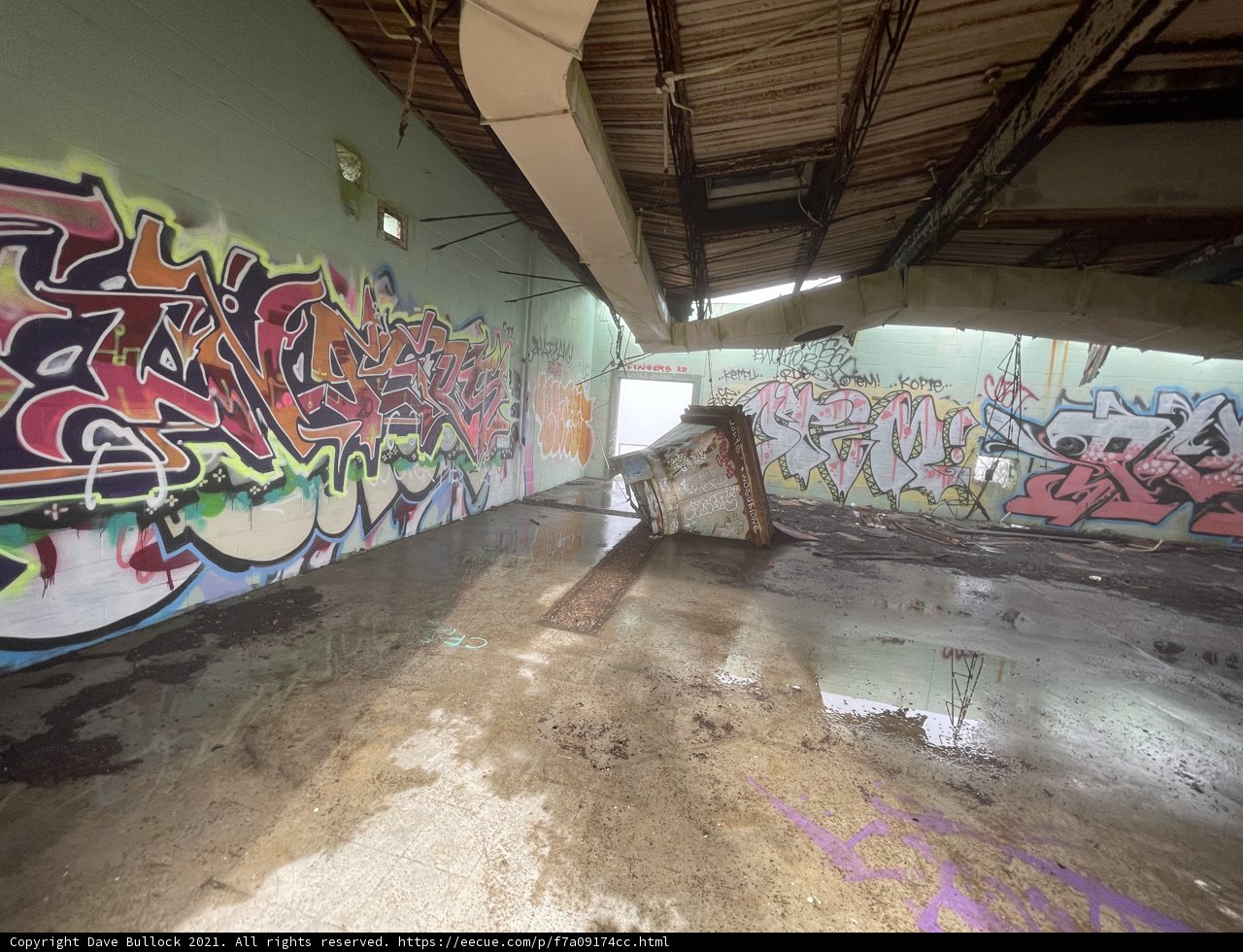 Abandoned Canvas