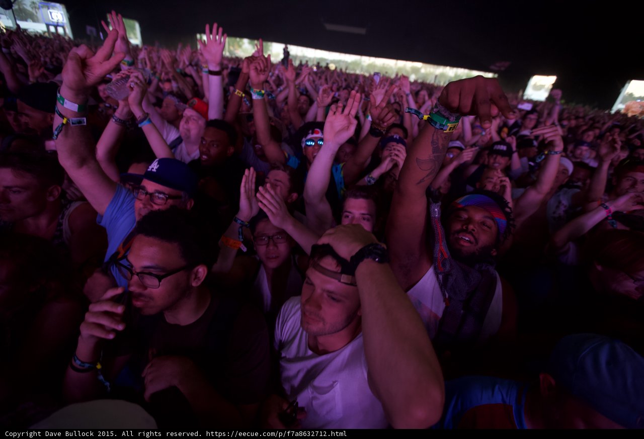 Crowd Arms Up Purple