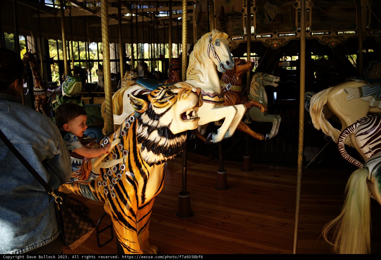 A Whimsical Ride on the Golden Gate Carousel