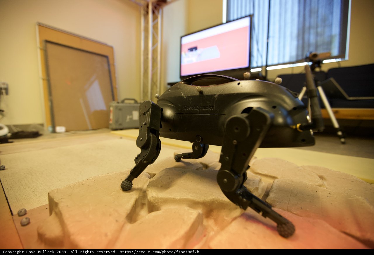 Robo-Dog's TV Time