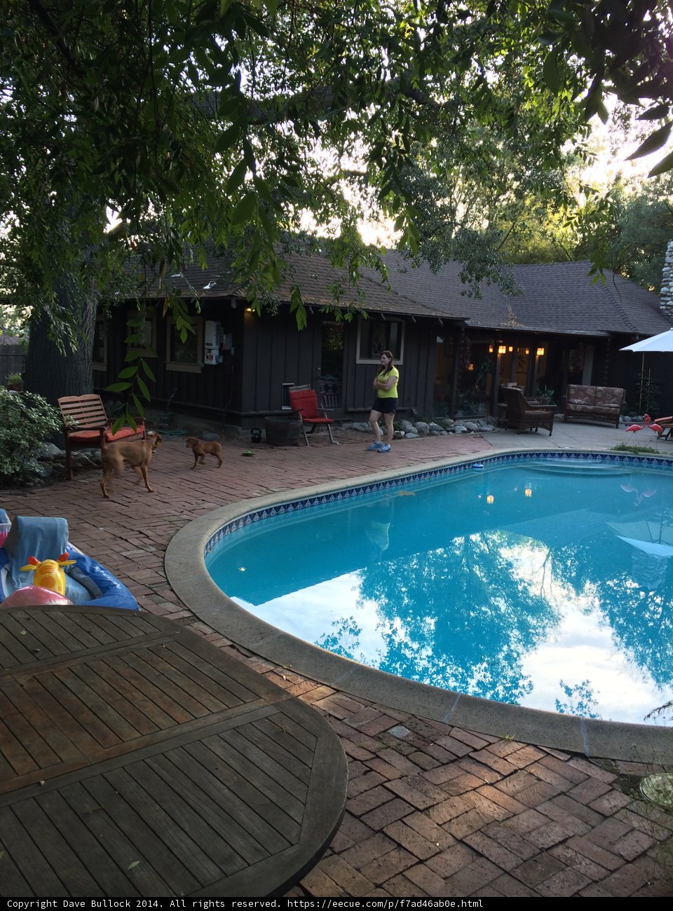 Relaxing in the Backyard Oasis