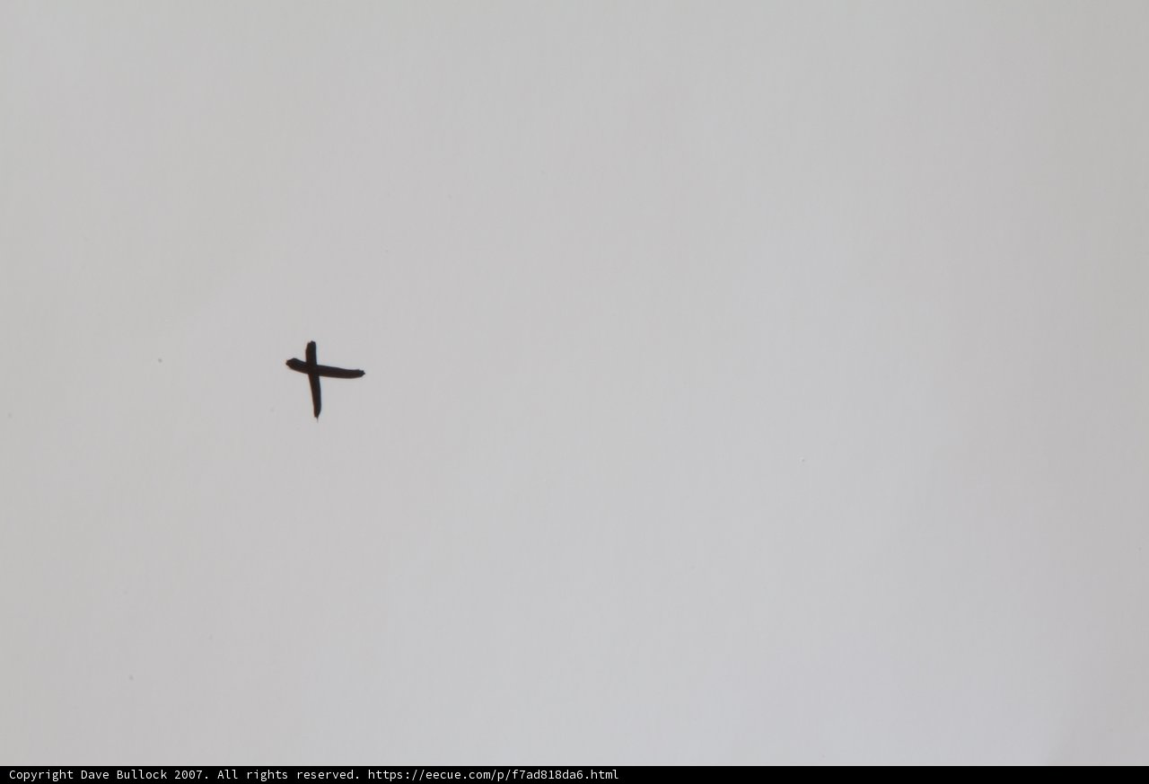 The Flying Cross