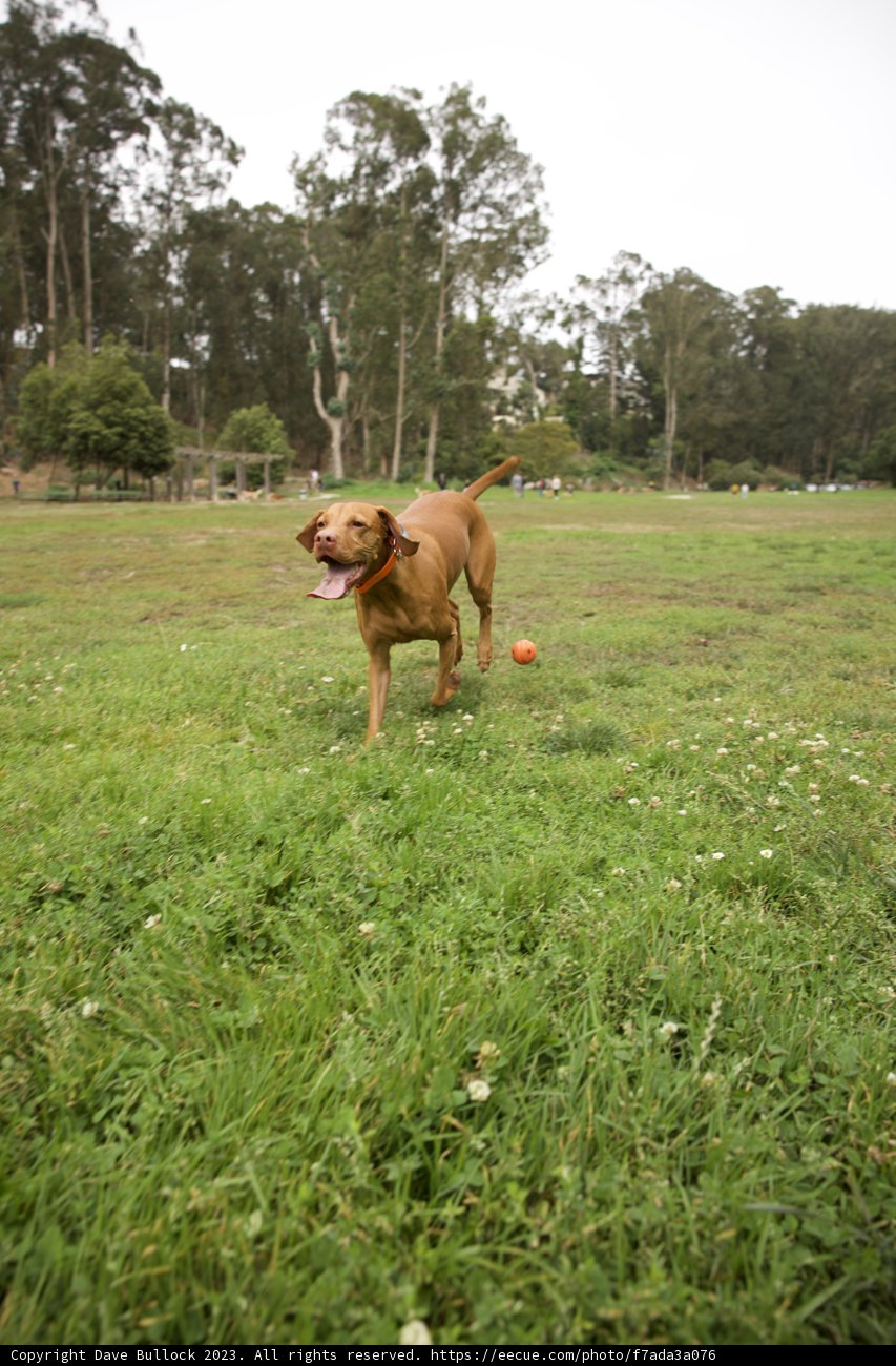 Playtime in the Park