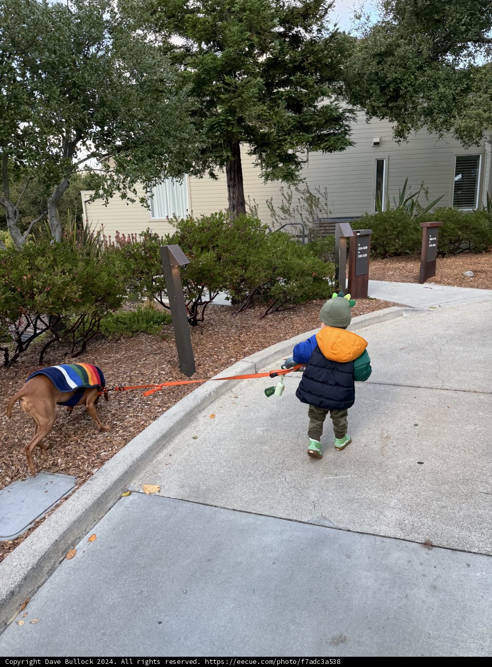 Autumn Stroll in Carmel