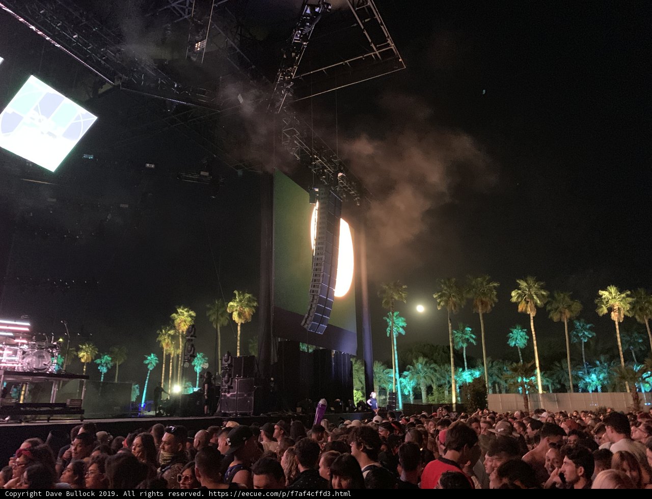 Concert Under the Palm Trees