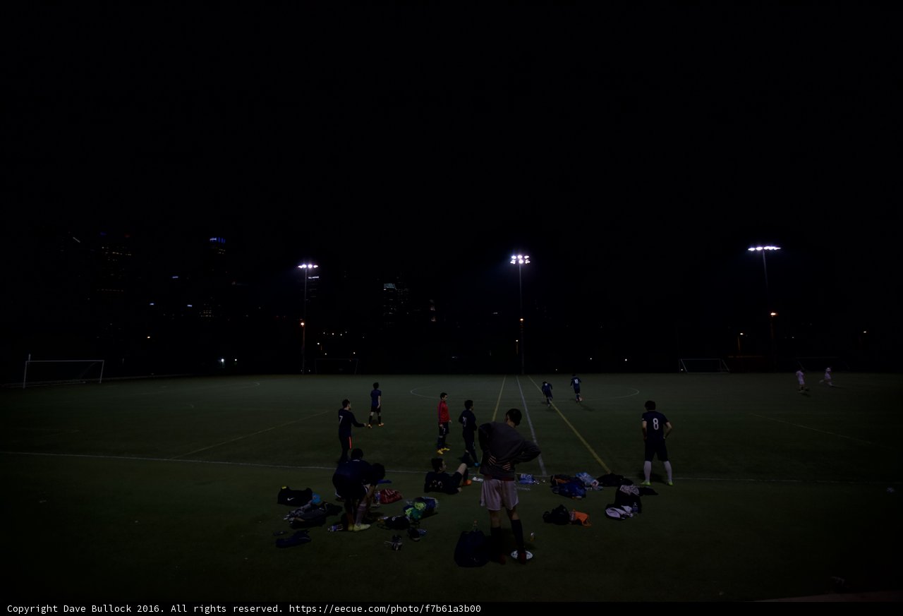 Nighttime Gathering on the Grass