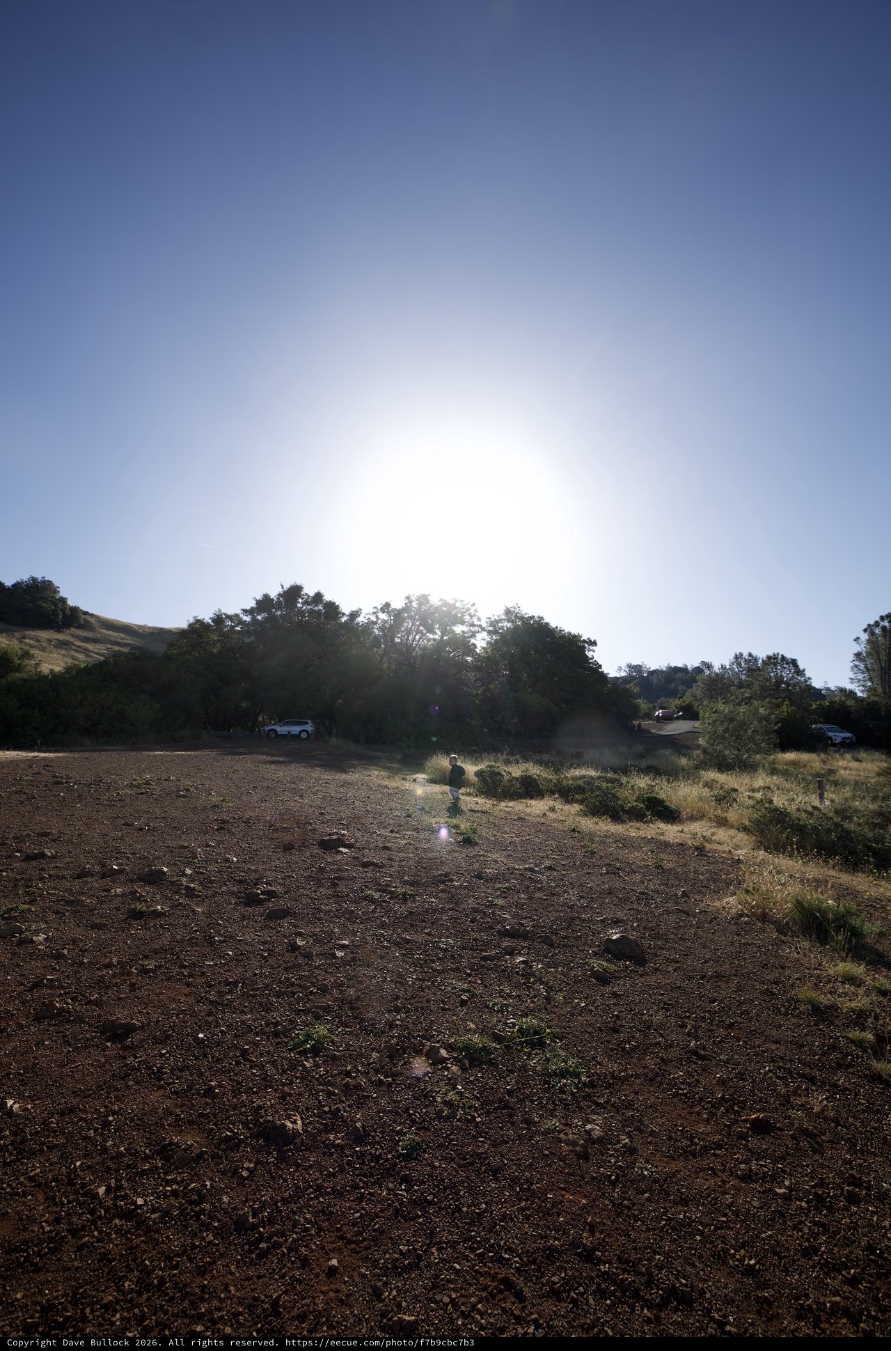 Small Child Silhouetted Against Blazing Sun at Mt. Diablo