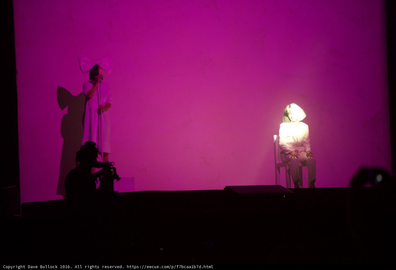 Purple Screen Performance