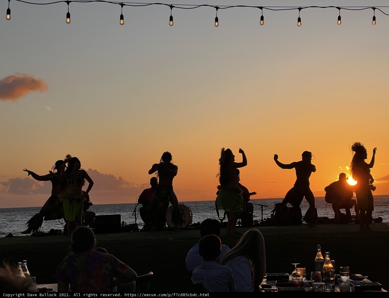 Beachside Bliss Under String Lights