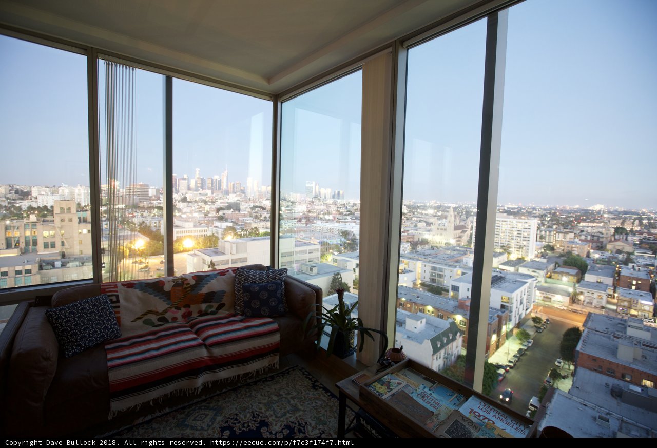 City View from Penthouse Living Room