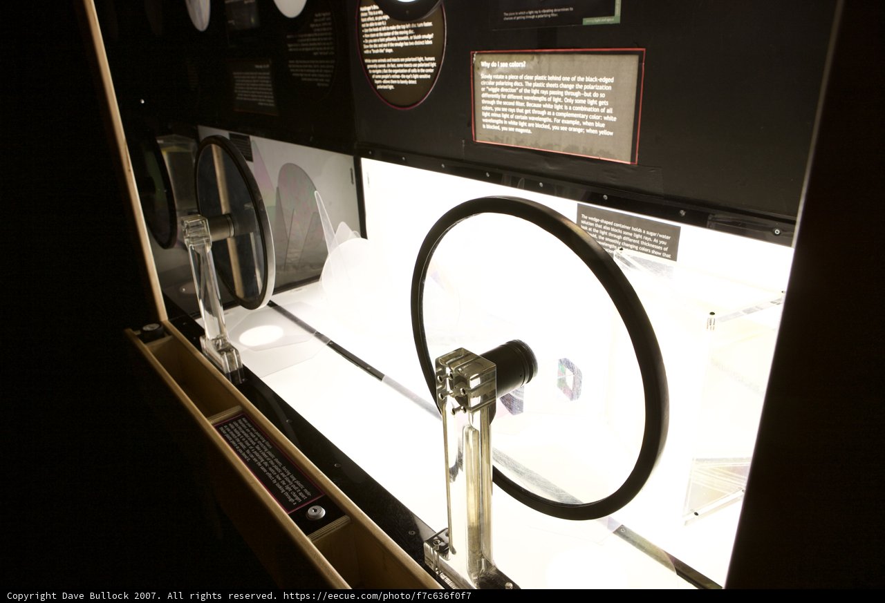 Spotlight on the Modern Wheel
