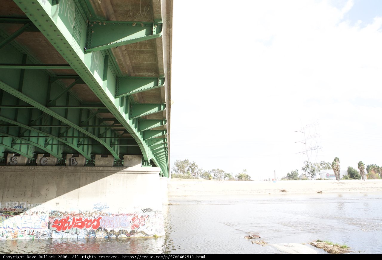 The Urban Rider