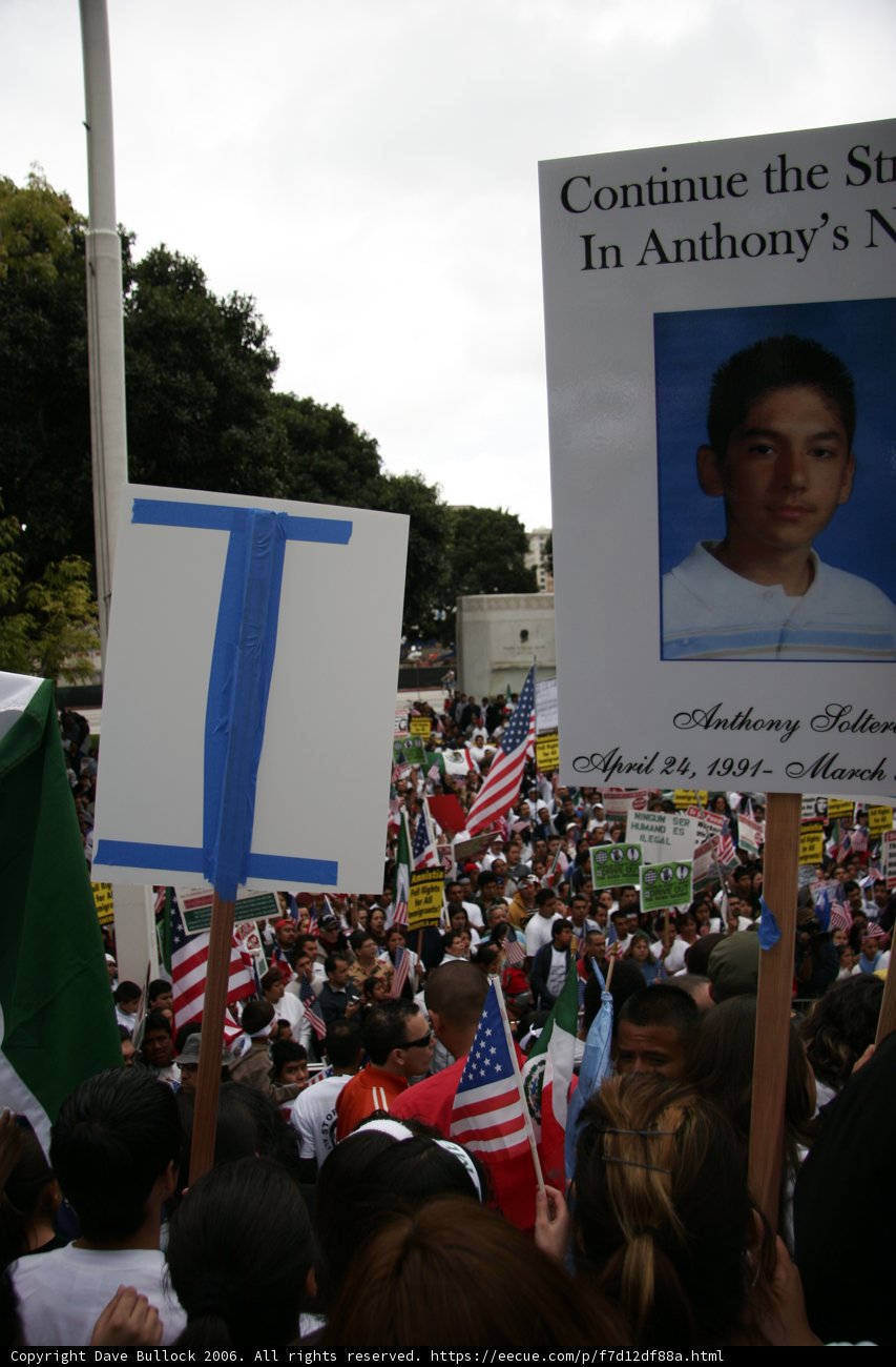 Boy's Message Echoes Through the Crowd