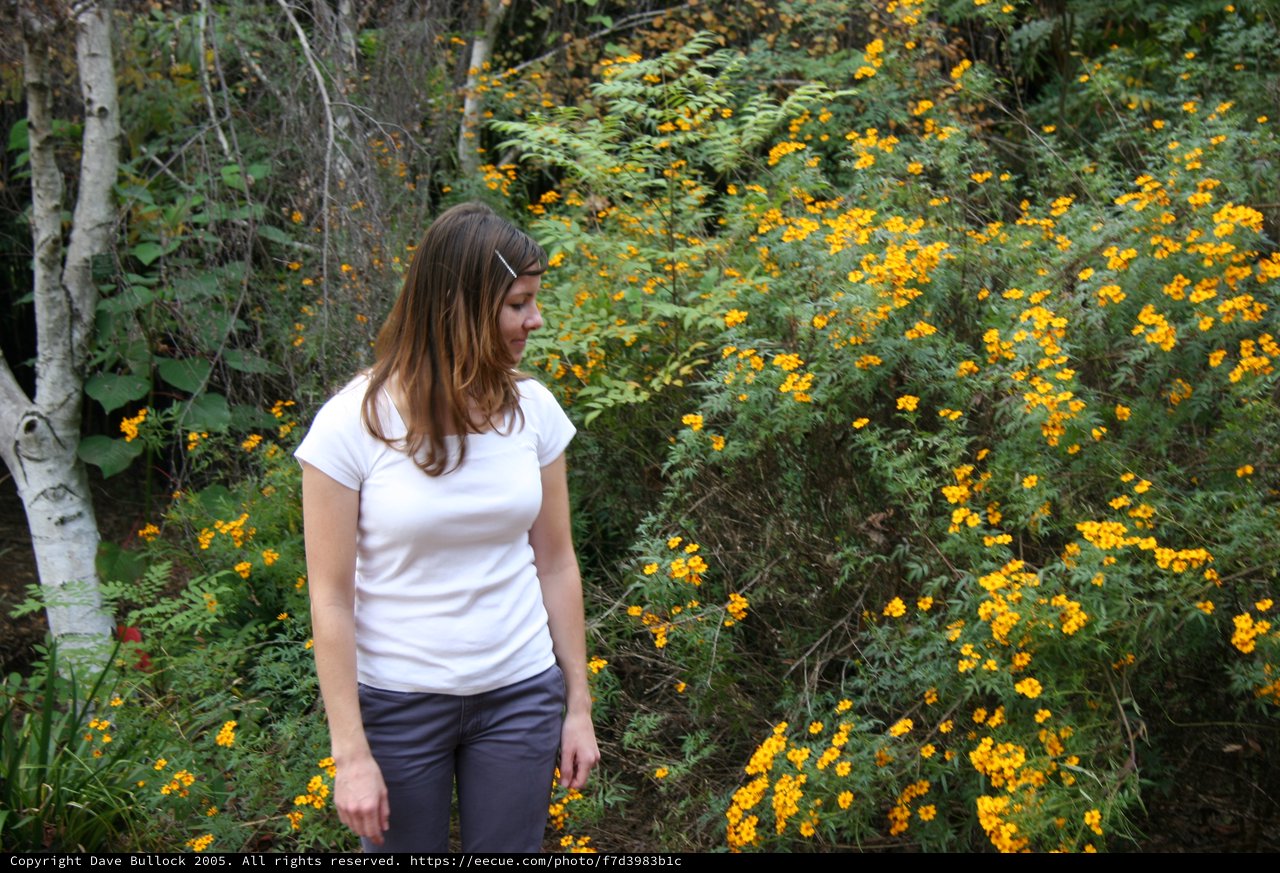 Woman Admiring Wild Yellow Flowers in Forest