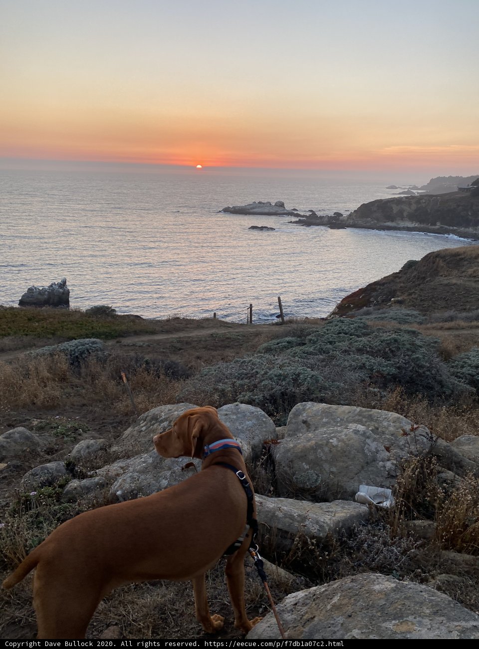 Overlooking the Ocean