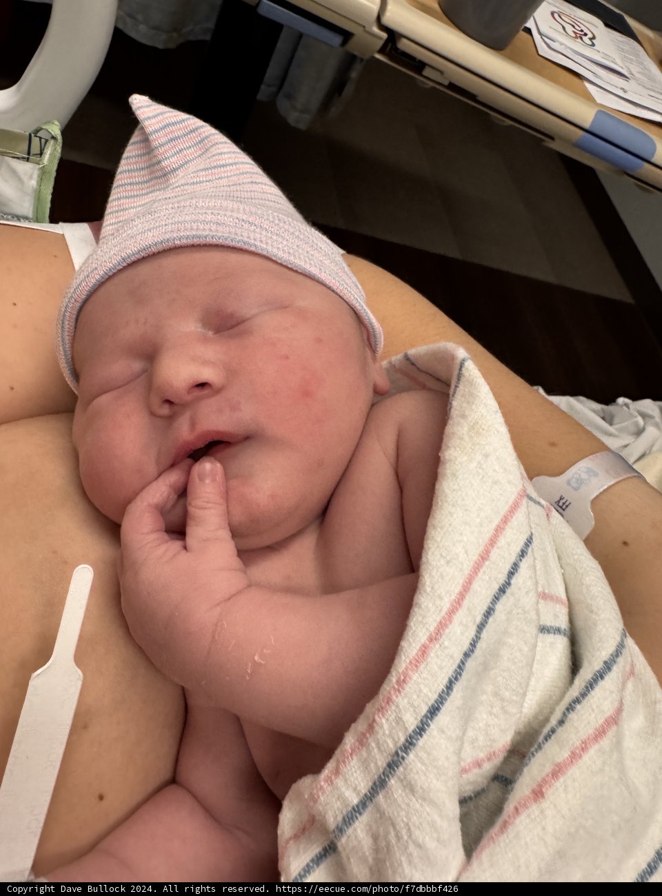 Welcome to the World, Leland