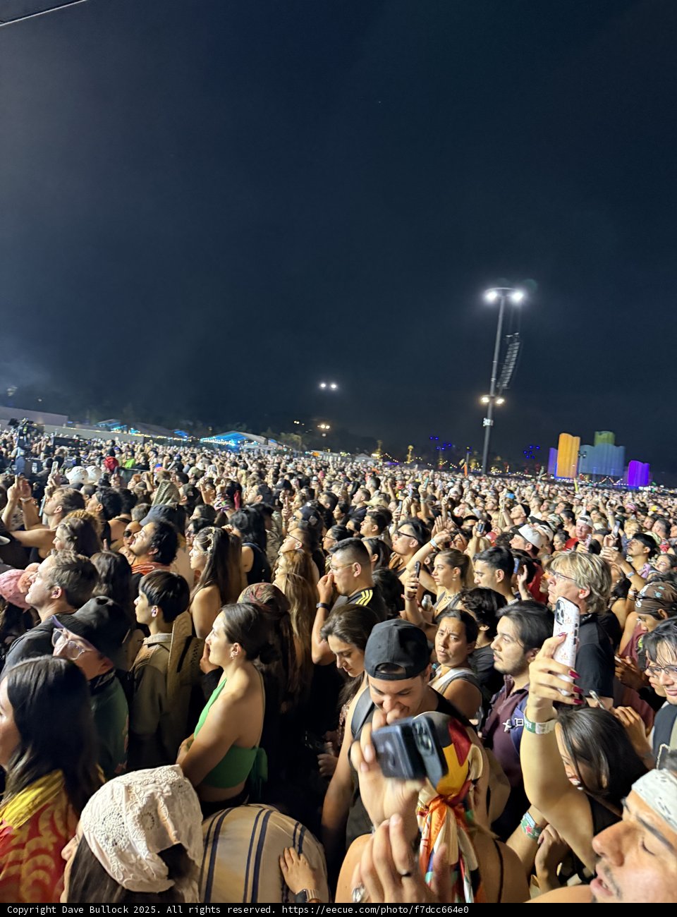 Vibrant Nights at the Polo Grounds