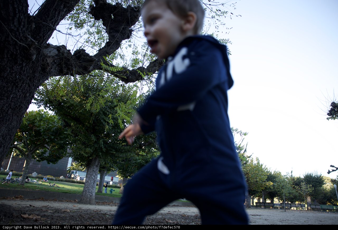 Childhood Innocence: A Day in the Park