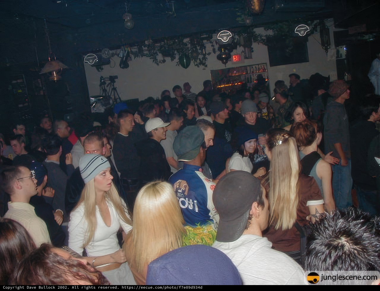 Nightclub Crowd Goes Wild with DJ on Stage