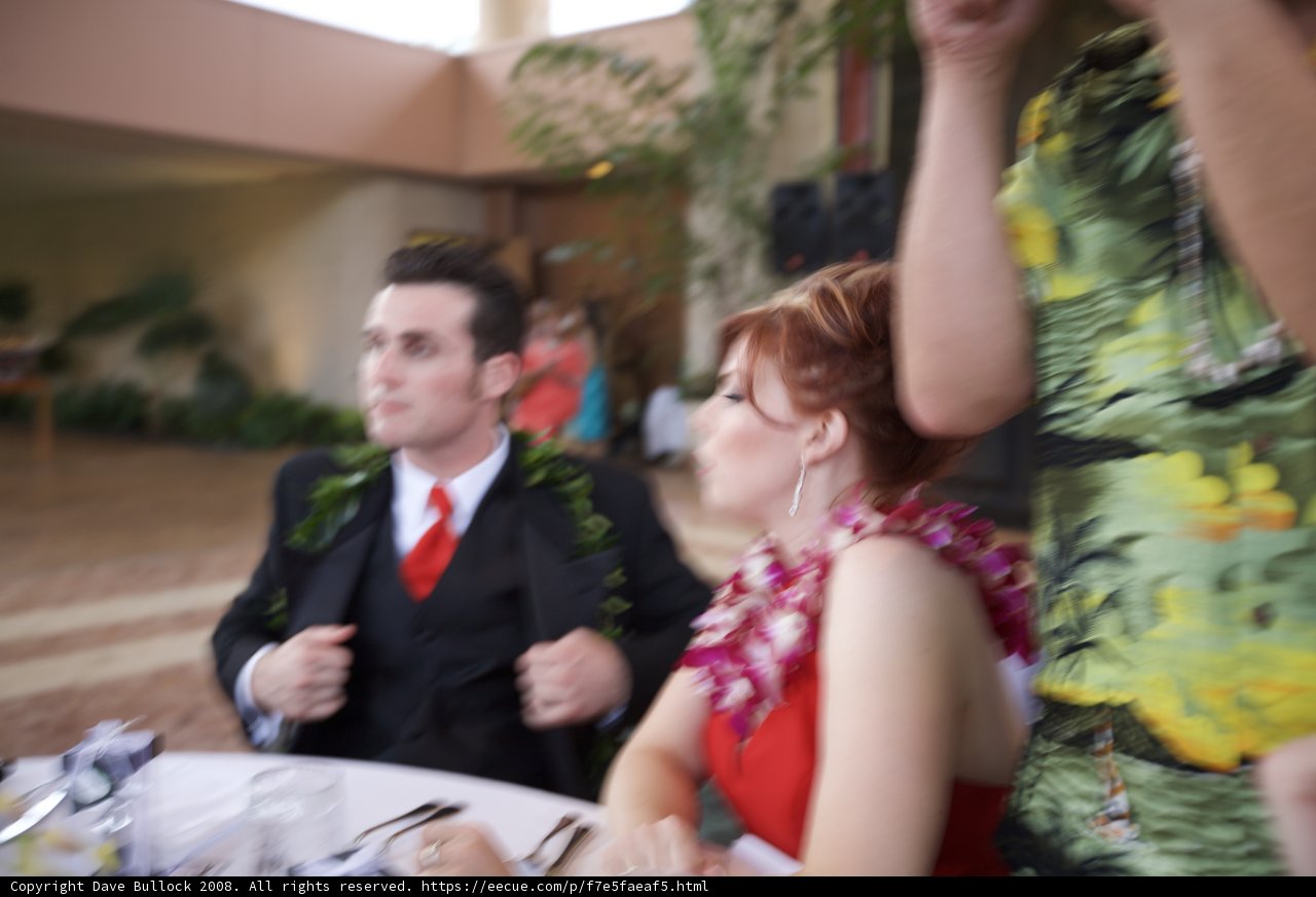 A Formal Affair in Hawaii