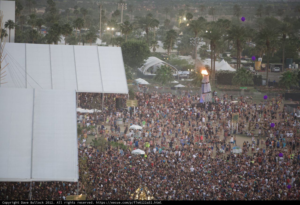 Festival Fever