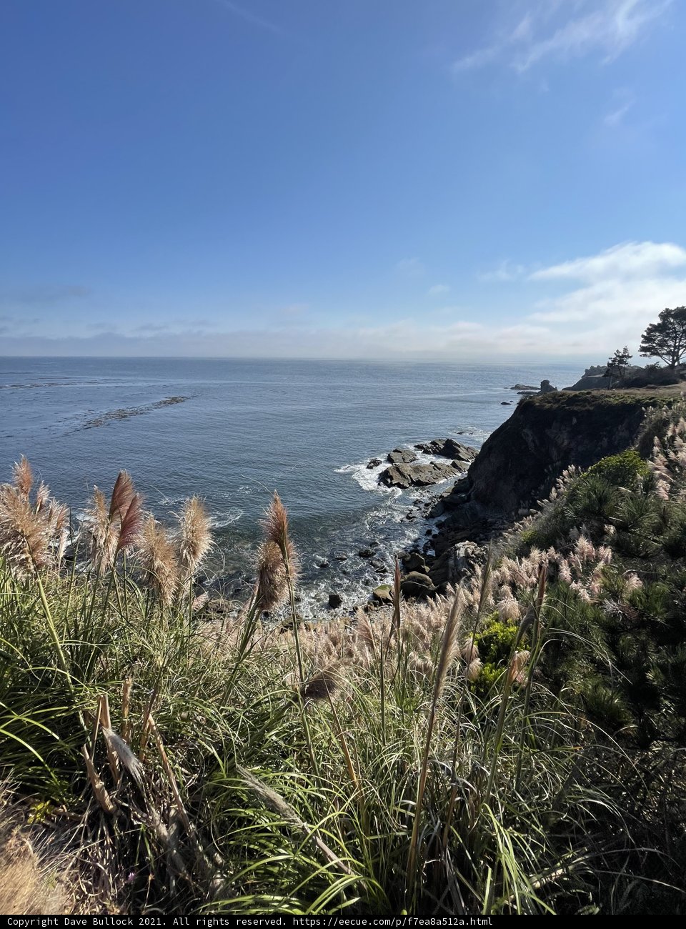 A Breathtaking View from the Cliff