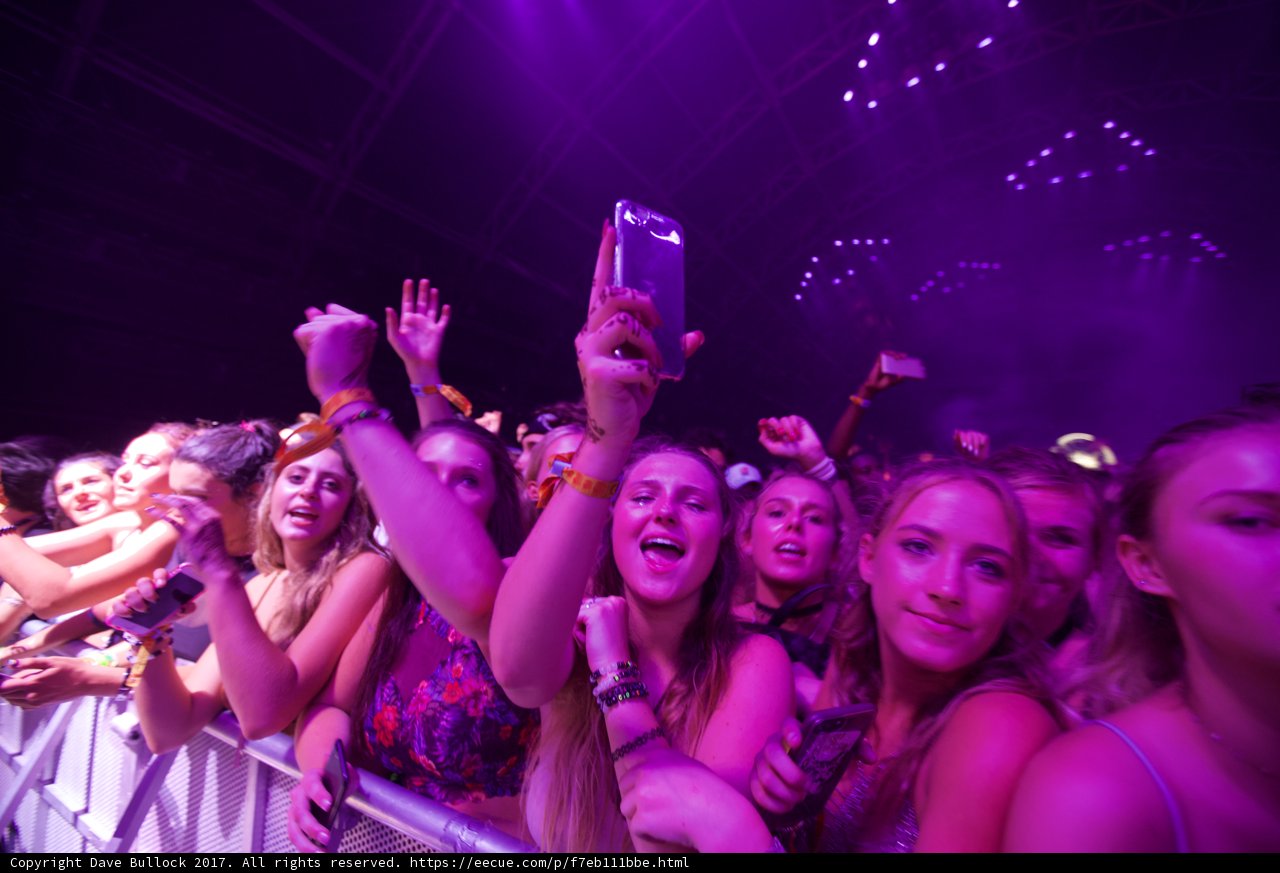 Electric Nightlife at Coachella