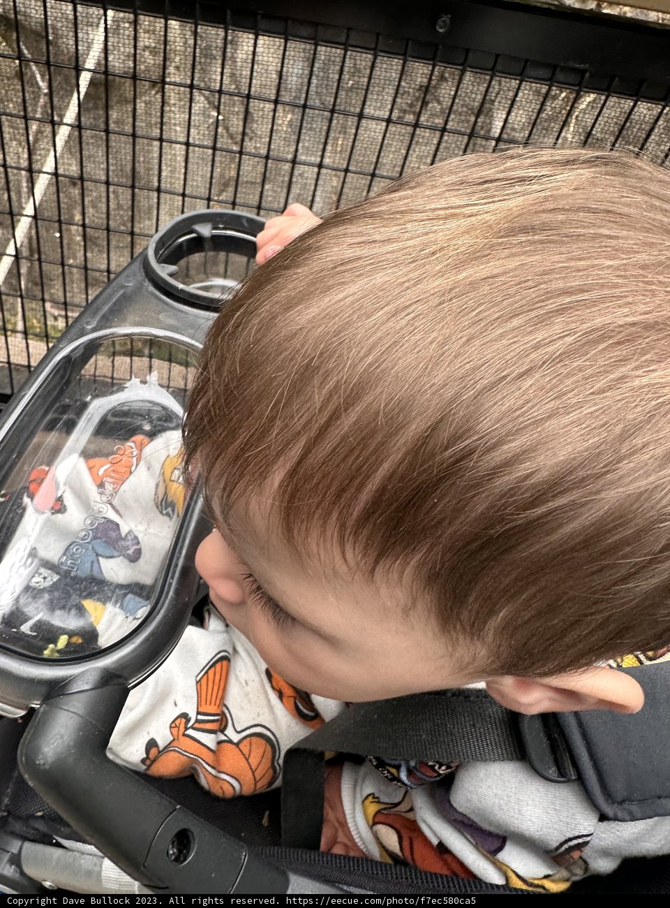 Reflections: A Baby's Adventure at the Oakland Zoo