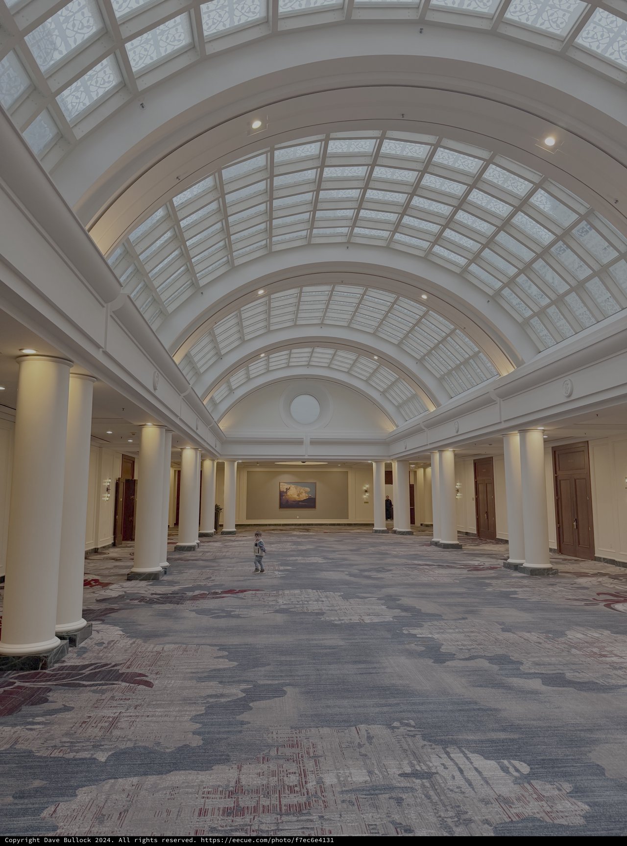 Grand Barrel-Vaulted Atrium with Classical Columns
