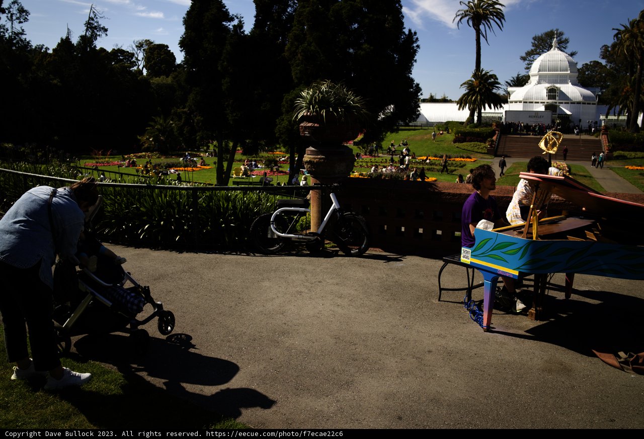 Golden Gate Park Stroll: A Summer's Day in 2023