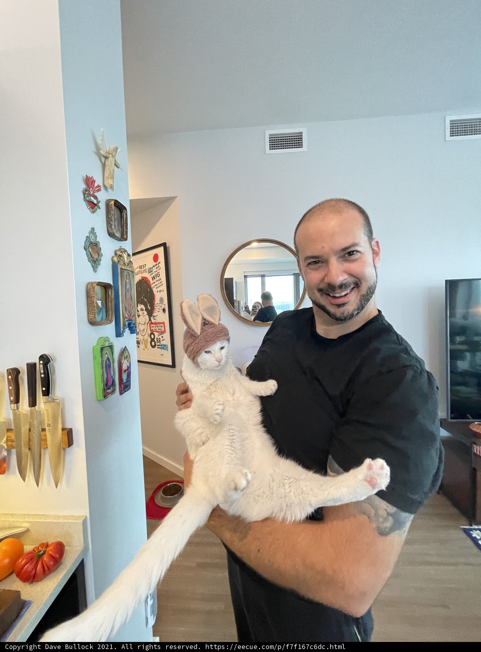 Man and Feline Friend in the Dining Room