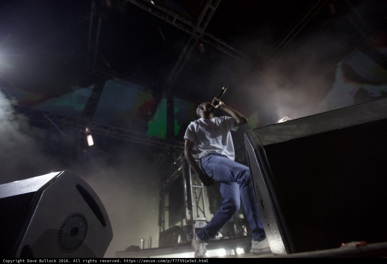 Rocking the Crowd