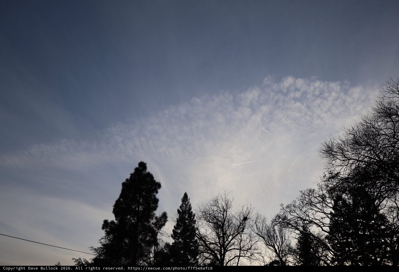 Twilight Sky with Wispy Clouds Above Winter Trees