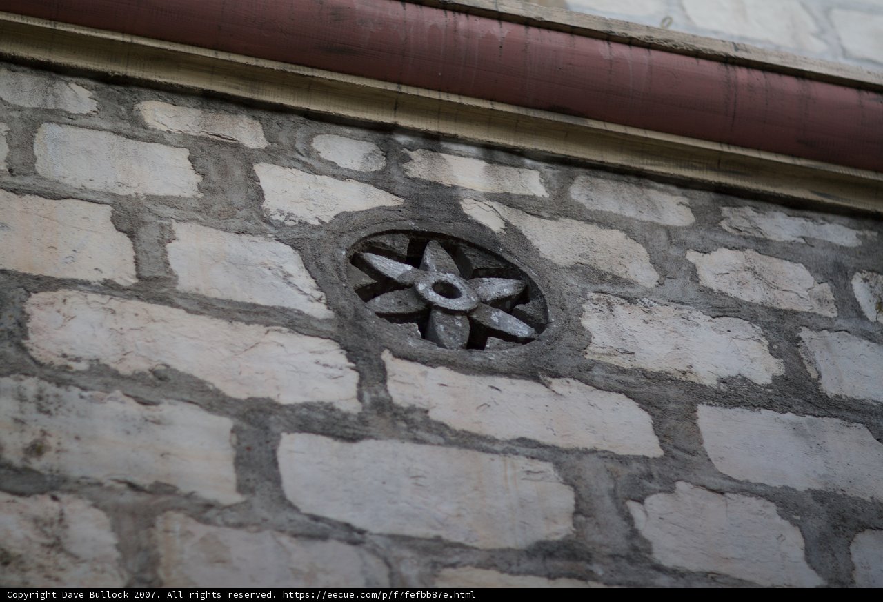 Flower on a Monastery Wall