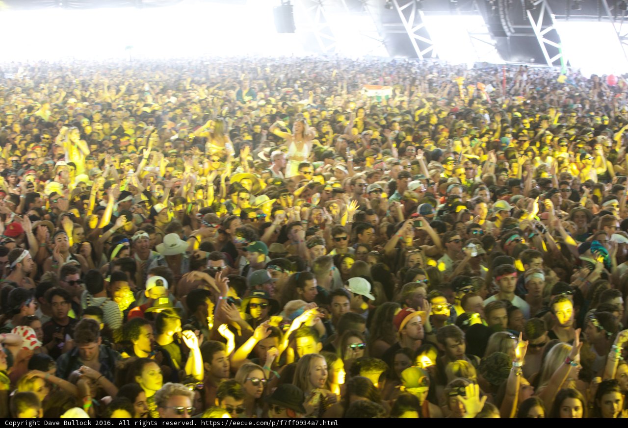 Spirited Crowd at Coachella 2016