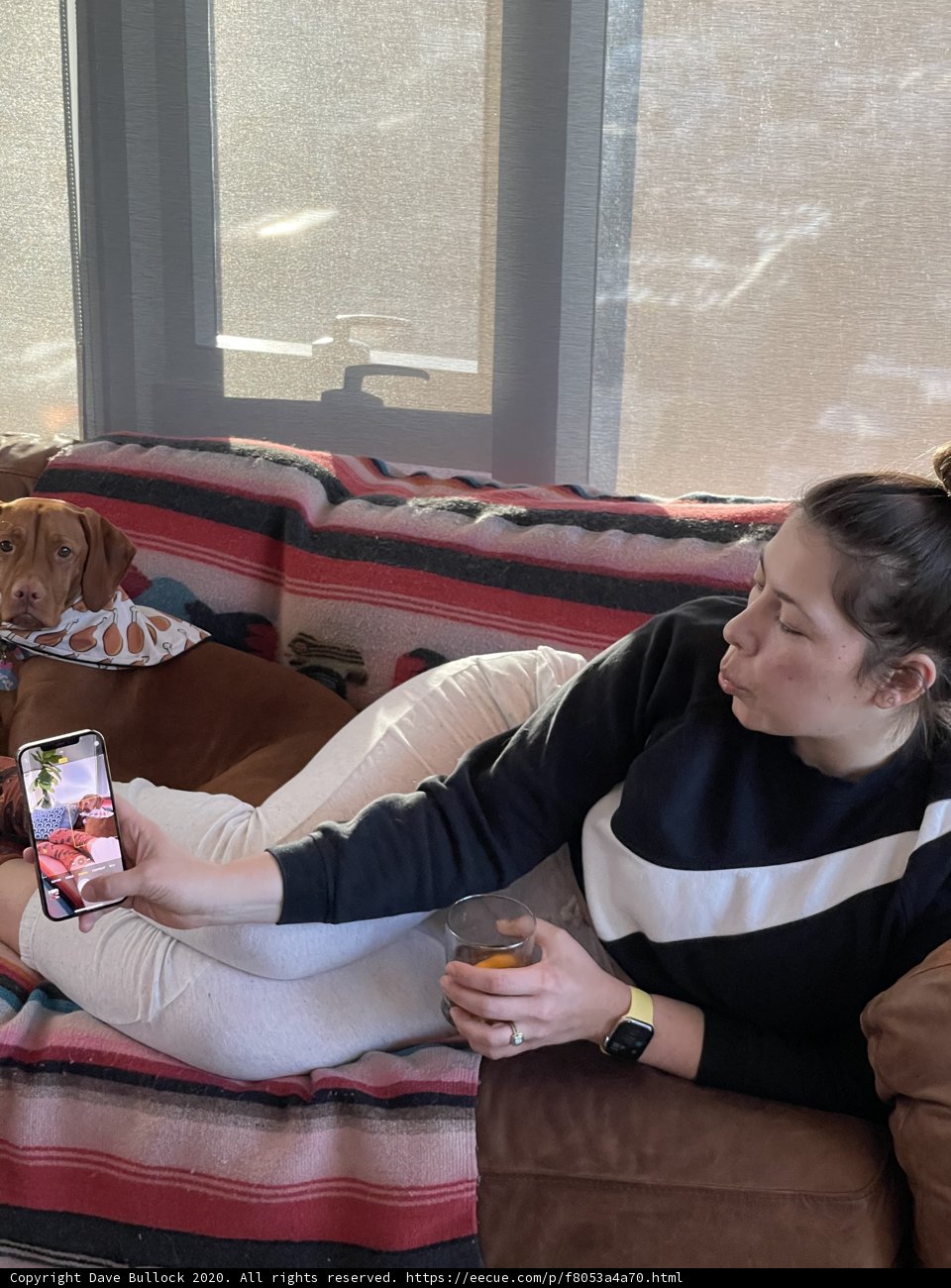 A Cozy Afternoon with My Pup