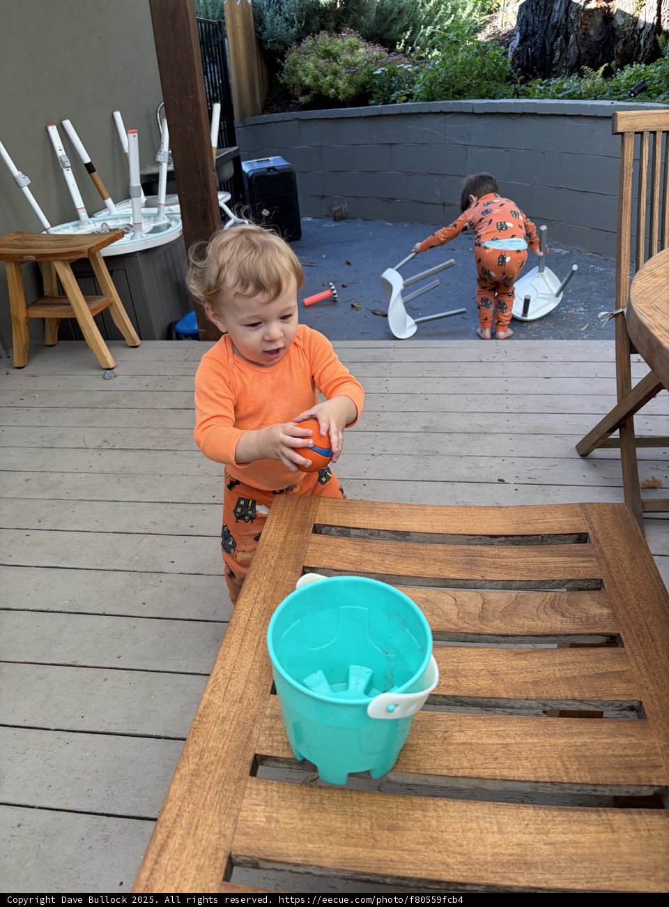 Backyard Adventures