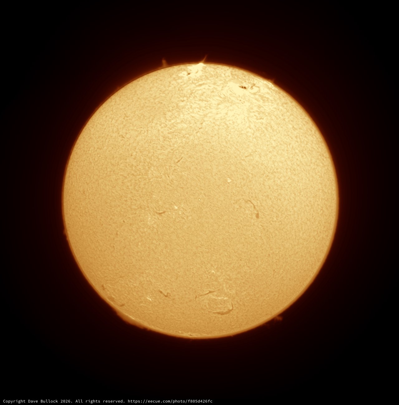 Hydrogen-Alpha Sun in Full Disk Detail, July 4 2026