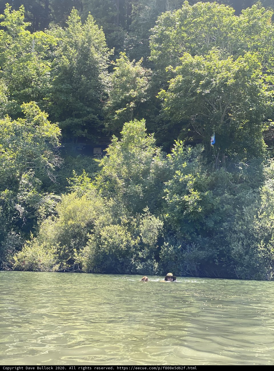 Swimming in the Serenity