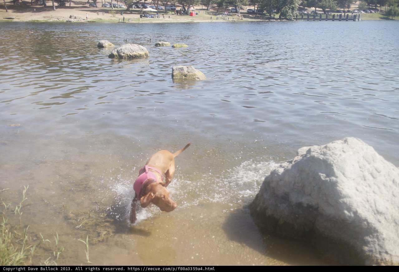 Playtime at the Lake